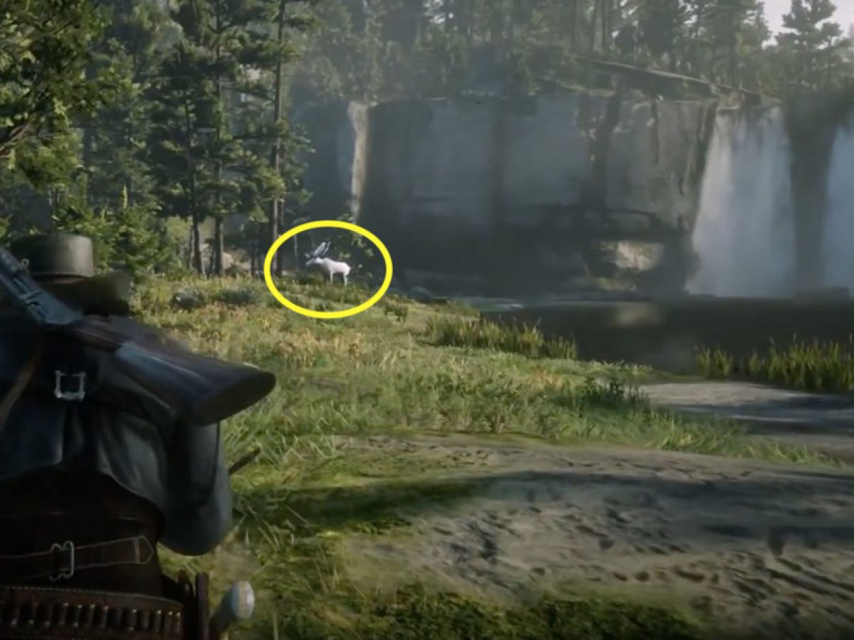 Where Hunt Legendary Moose In Red Dead Redemption 2 | Balls.ie