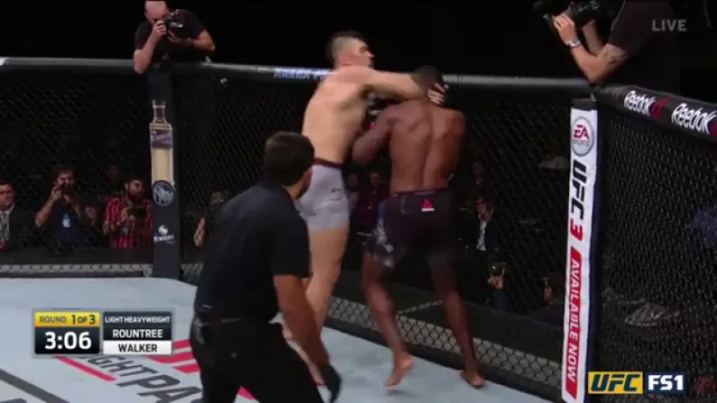 Brazilian Stuns With Brutal Elbow KO In UFC Debut