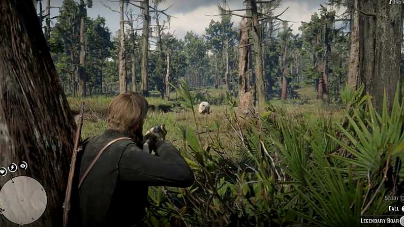 Where To Hunt Legendary Boar In Red Dead Redemption 2