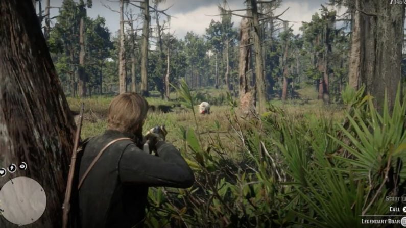 Where To Hunt Legendary Boar In Red Dead Redemption 2