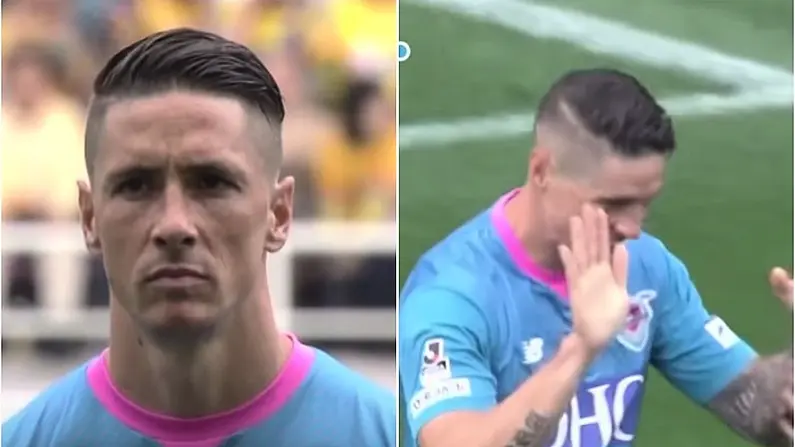 Watch: Fernando Torres The Hero As Late Goal Saves Sagan From Relegation