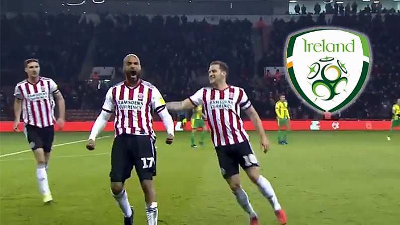 Watch: In-Form Irish Striker David McGoldrick Scores Again With Sweet Finish