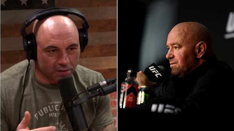 Dana White Opens Up On Just How Much Joe Rogan Has Done For UFC