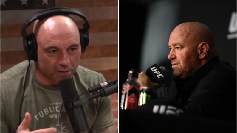 Dana White Opens Up On Just How Much Joe Rogan Has Done For UFC