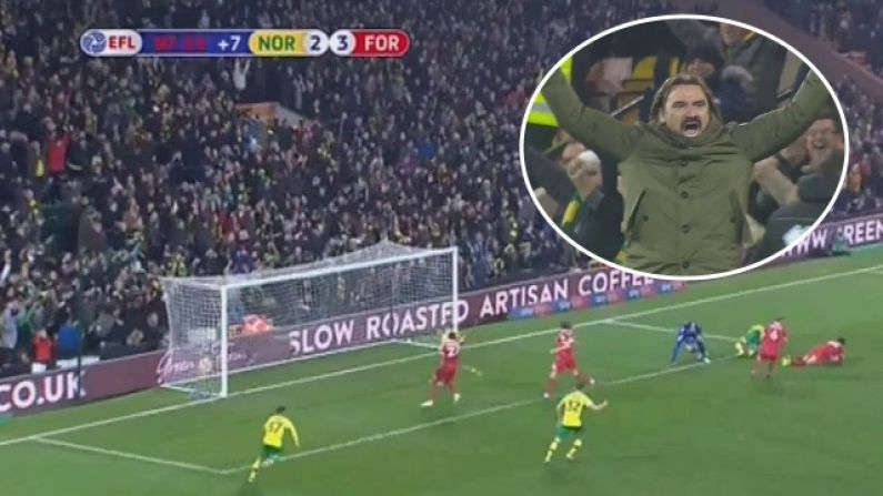 Norwich Pull Off Bonkers Comeback Draw Against Nottingham Forest