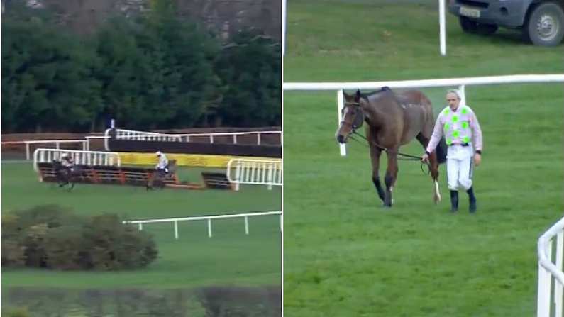 Disaster For Faugheen And Ruby Walsh As Fall Allows Apple's Jade Easy Win