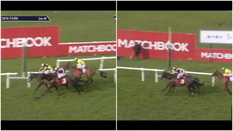 Watch: Confusion Reigns At Sandown As Officials Call Wrong Winner