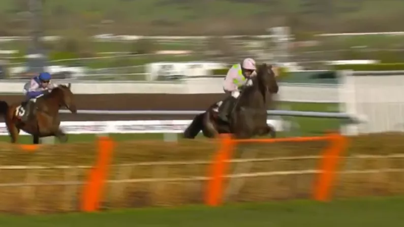 Watch: Disaster For Ruby Walsh As He Falls At The Last Hurdle
