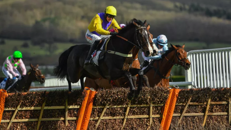 Our Tipster's Two Picks For Cheltenham Day One