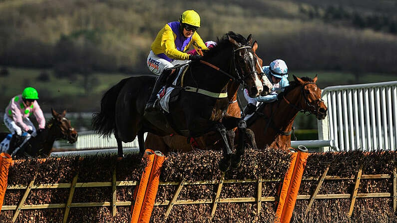 13 March 2018; Kalashnikov, with Jack Quinlan up, leads over the final hurdle on their way to second place in the Sky Bet Supreme Novices Hurdle Race on Day One of the Cheltenham Racing Festival at Prestbury Park in Cheltenham, England. Photo by Ramsey Cardy/Sportsfile