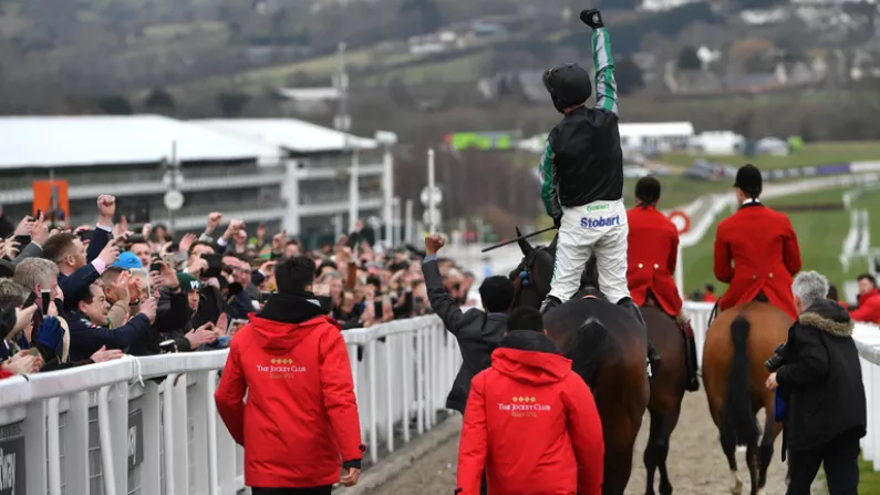 Altior Or Bust: Your Guide And Tips For Cheltenham Day Two