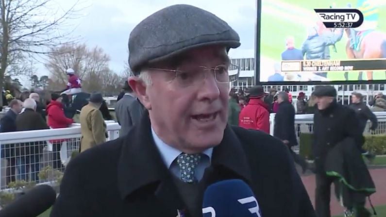 'If You Don't Like It, Go Watch Peppa Pig' - Ted Walsh Dismisses Cruelty In Racing Concerns