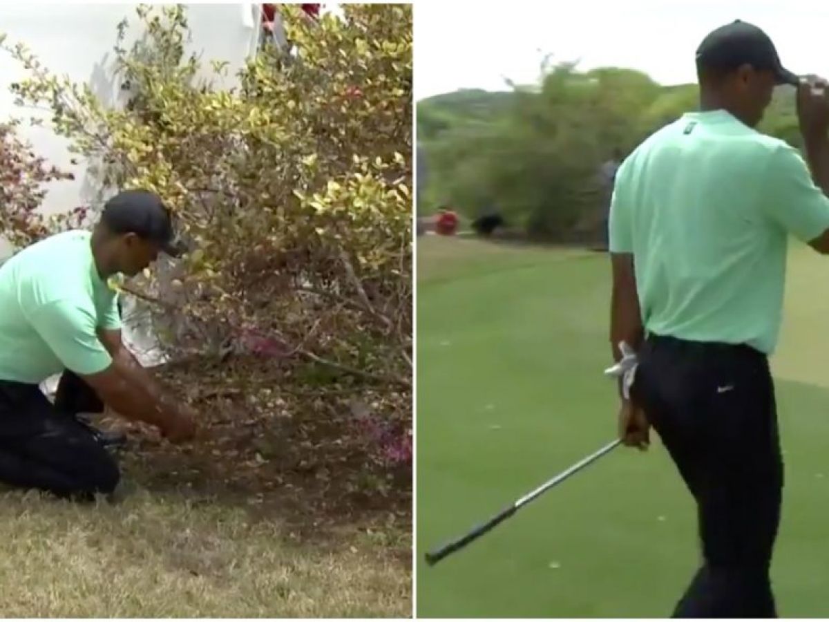 Watch Tiger Woods Pulls Off Absolute Circus Shot At Dell Match Play Balls.ie