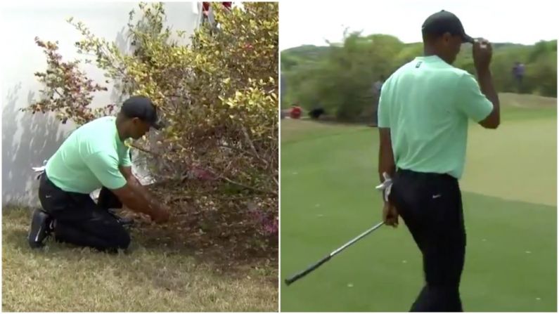 Watch: Tiger Woods Pulls Off Absolute Circus Shot At Dell Match Play