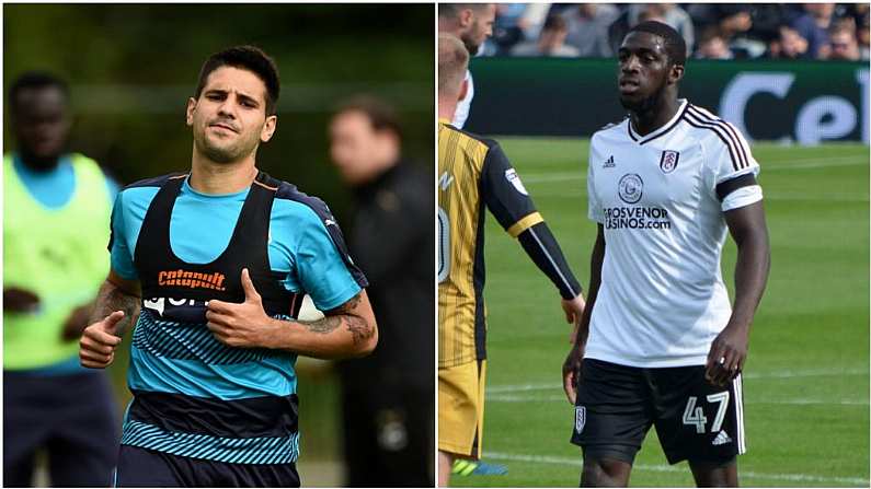 Mitrovic and Kamara Prised Apart In Yoga Scrap