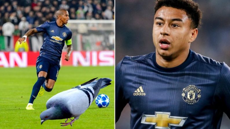 Jesse Lingard Didn't Pass Up This Opportunity To Slag Off Ashley Young