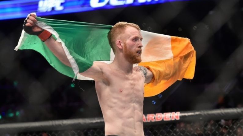 Former UFC Fighter Paddy Holohan To Run As Sinn Féin Local Election Candidate