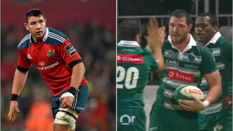 'The Dream Was Always To Play For Munster, I Just Got A Bit Frustrated'