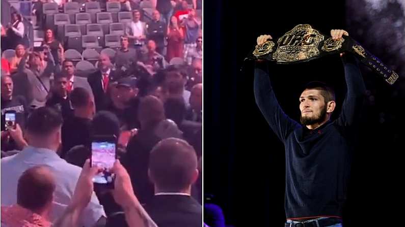 Khabib And Nate Diaz Pulled Apart In The Crowd During UFC 239