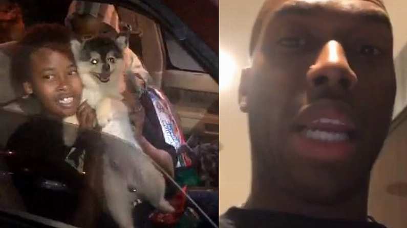 Daniel Sturridge's Dog Lucci Returned Safe & Sound After Social Media Plea