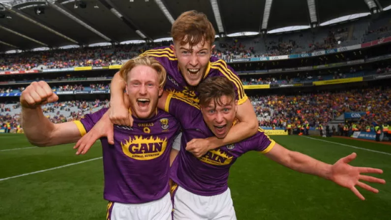 Carpooling To Davy's, Borrowed Minibuses To Ferns, And Dark Days Of Wexford Hurling