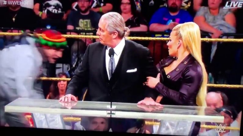 Bret 'The Hitman' Hart Attacked By Fan While Making WWE HOF Speech