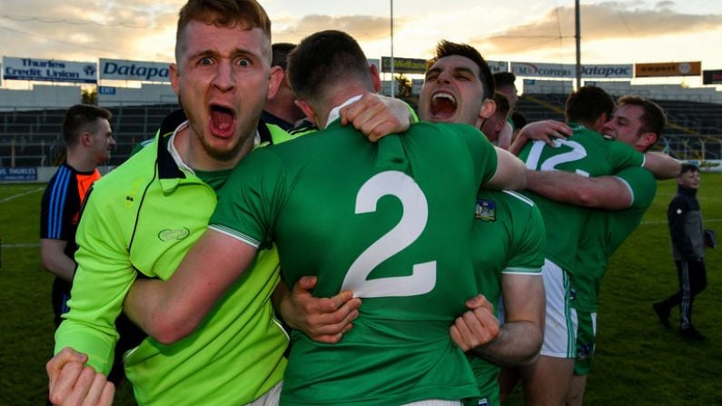 In Pictures: Limerick Celebrate Momentous Victory Against Tipp