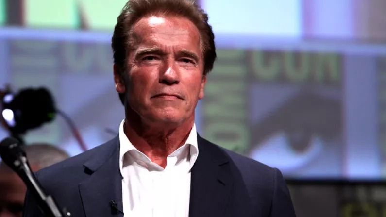 The Secret Ingredient Of Arnold Schwarzenegger's Protein Shake Is Pretty Inspiring