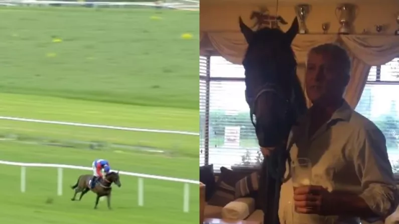 A Trainer, His Horse And Their Celebratory Pints - A True Irish Underdog Story
