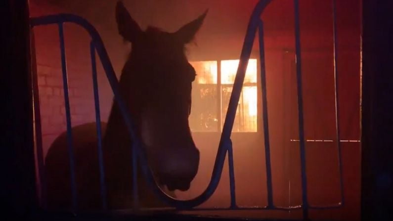 Watch: Fire Breaks Out At Yard Of Well-Known English Trainer