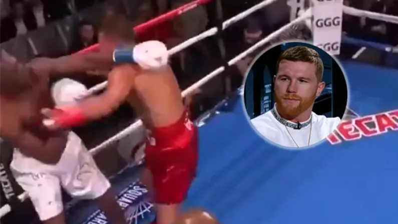 Watch: Golovkin Makes Statement With Huge Left Hand KO But Canelo Unimpressed