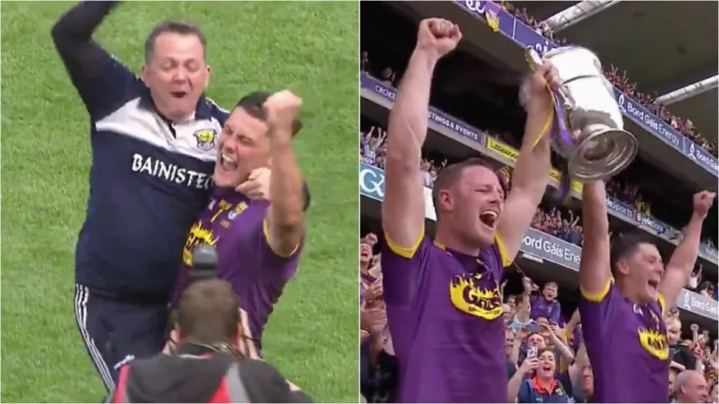 Davy Fitzgerald Makes History As Wexford End Long Provincial Drought