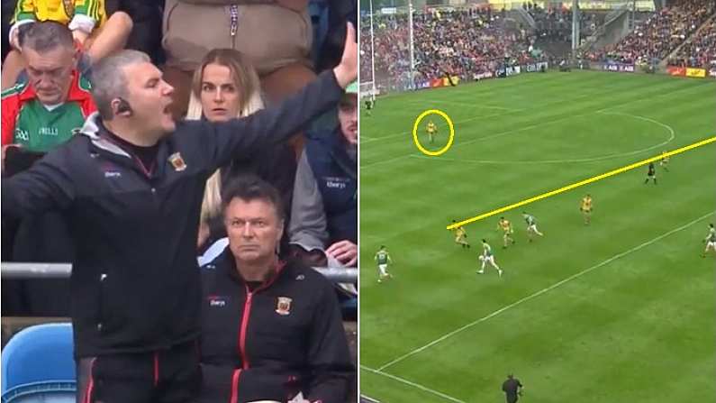 What 'Frantic' James Horan Was Shouting At Certain Mayo Players