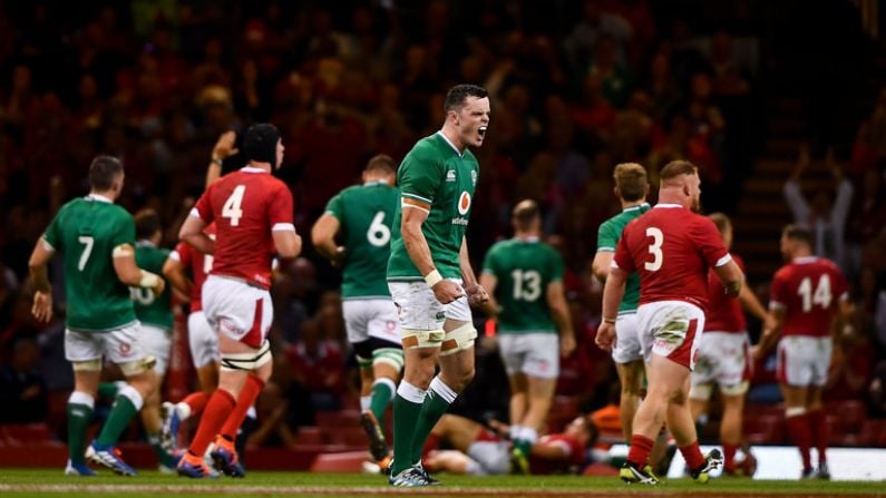 World Cup Winners And Losers As Ireland Get Back On Track With Welsh Win