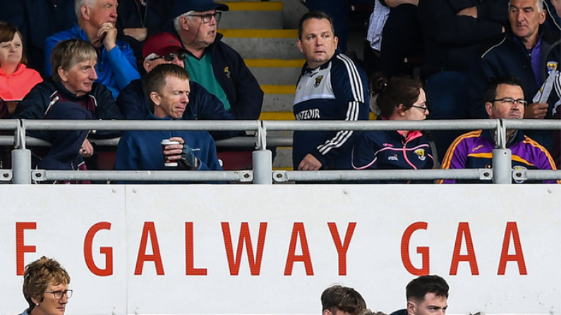 Davy Fitzgerald Addresses Reports Linking Him With Galway Job