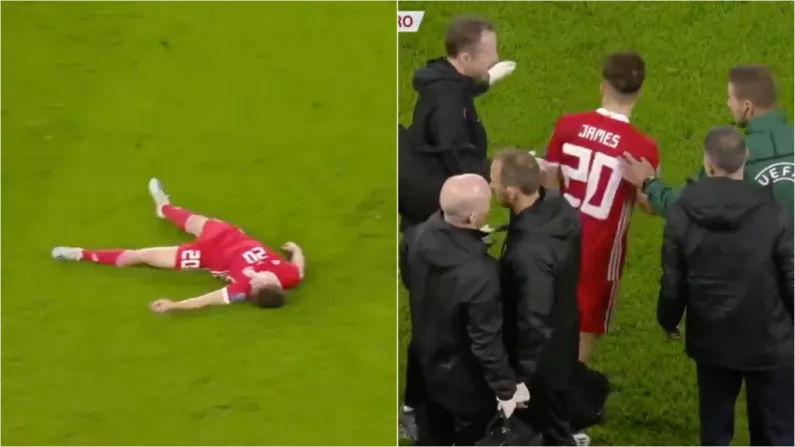 Daniel James Condemned For 'Acting' Like He Was Knocked Out In Wales Draw