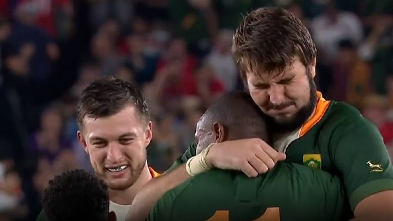 The World Reacts After South Africa Dump Wales Out Of Rugby World Cup