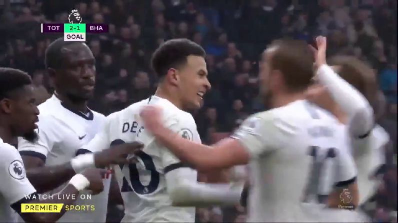 Watch: Superb Dele Alli Finish Gives Spurs Victory Over Brighton