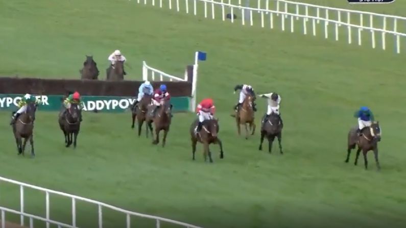 Bonkers Finish To Big Race At Leopardstown Gets Commentary It Deserves