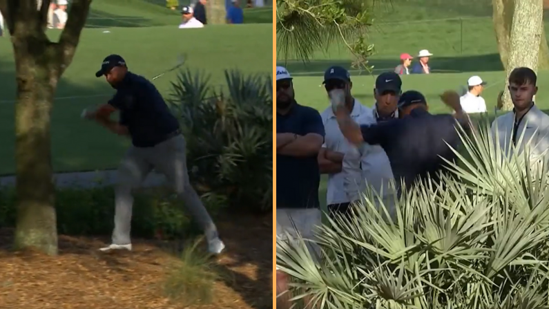 Shane Lowry Snaps Club After Hitting Tree At Sawgrass