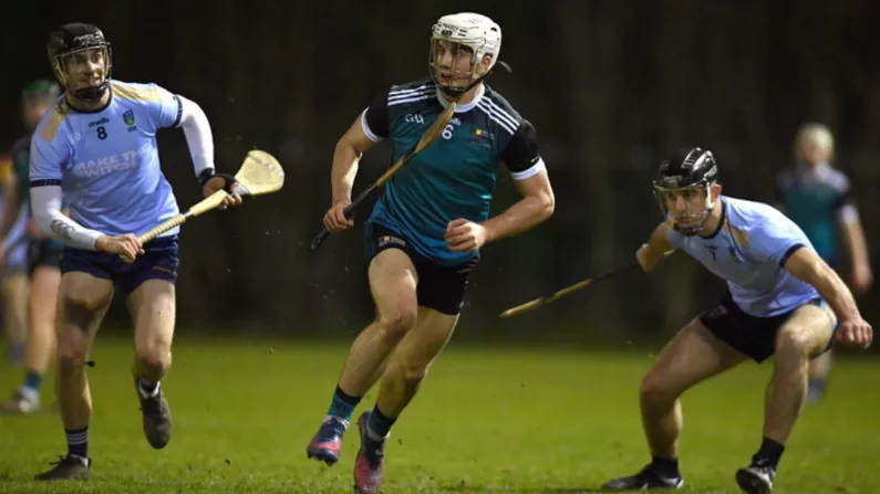 Fitzgibbon Cup: UL Reach Quarters While UCD Claim Dramatic Win In Maynooth