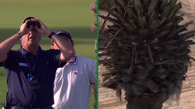 Patrick Reed Appears To Misidentify His Ball At The Dubai Desert Classic