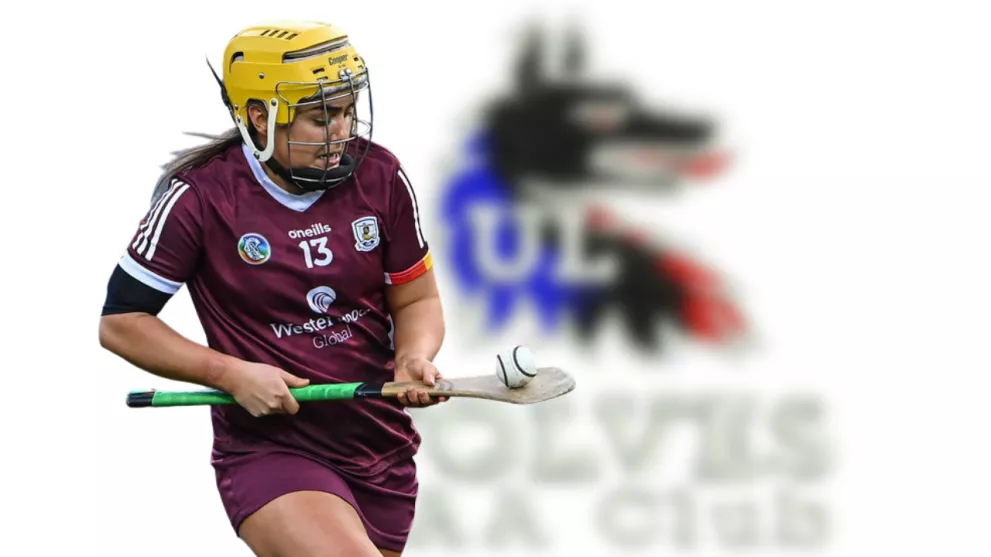 mags darcy ucd ashbourne cup camogie