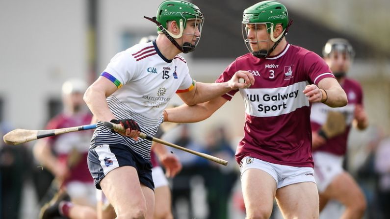 How To Watch The 2023 Fitzgibbon Cup Final: All The Info You Need