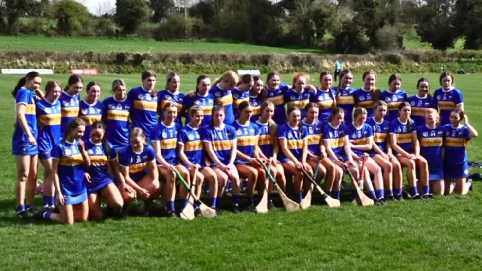 tipperary minor camogie victory galway 2023