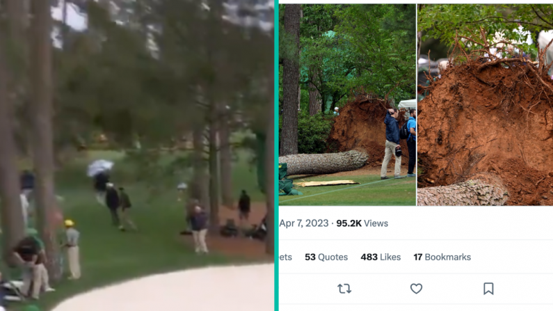 Frightening Scenes As Massive Tree Fall Suspends Play At The Masters