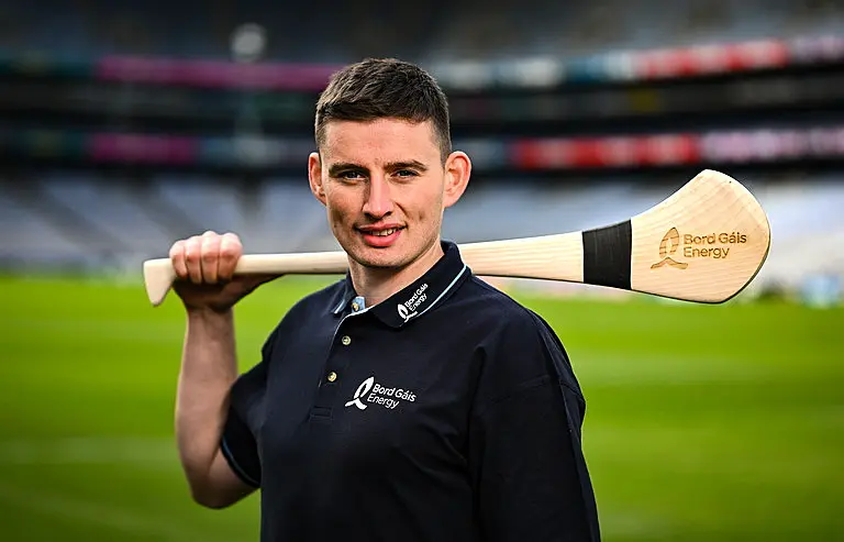 gearoid hegarty limerick hurling 2023