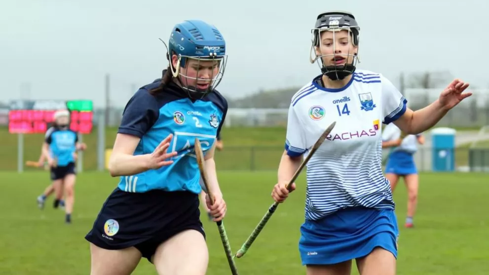 waterford minor camogie semi-final kilkenny 2023