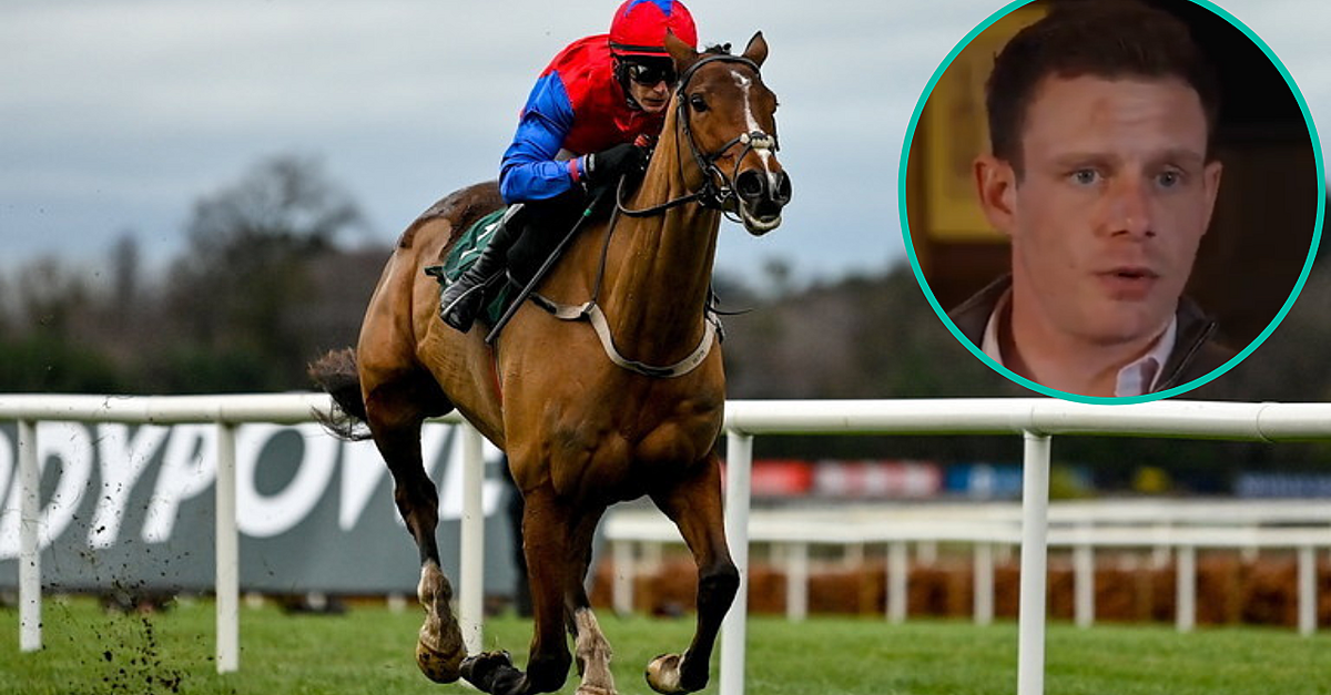 Paul Townend's Punchestown Picks For Day 1 Of The Festival - Vimarsana News