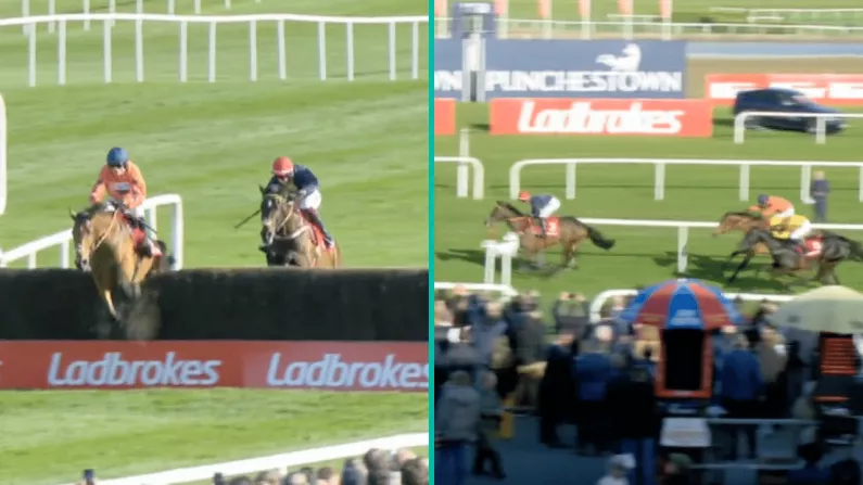 Huge Shock As Fastorslow Wins Ladbrokes Punchestown Gold Cup In Dramatic Finish